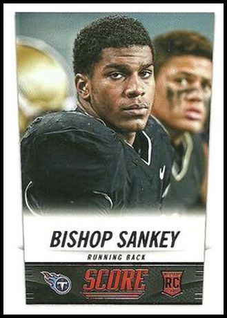 339 Bishop Sankey
